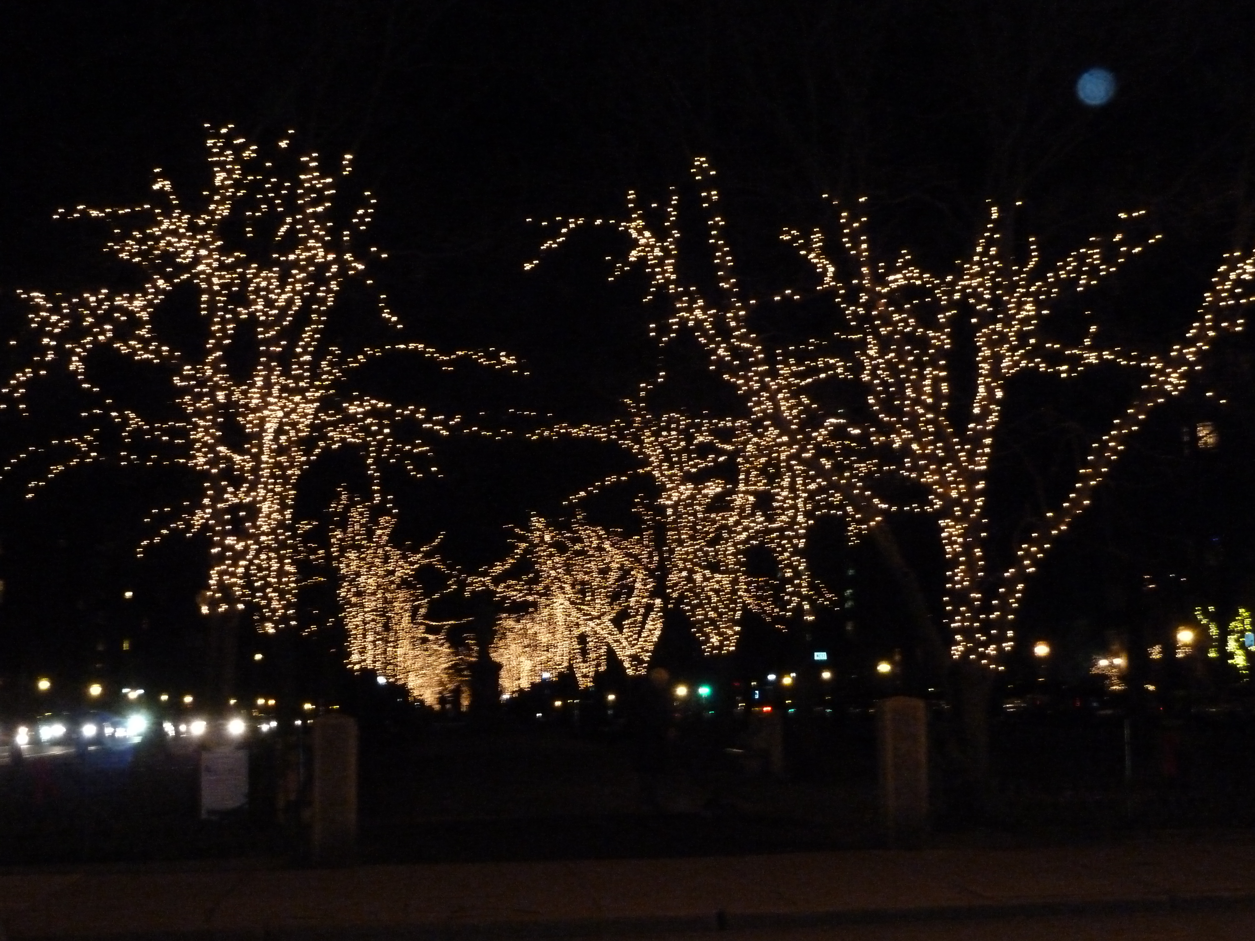 Lights on Commonwealth Avenue